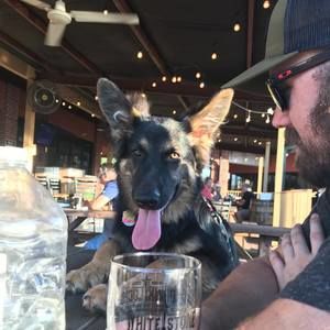 Meet your Posher, Rhys